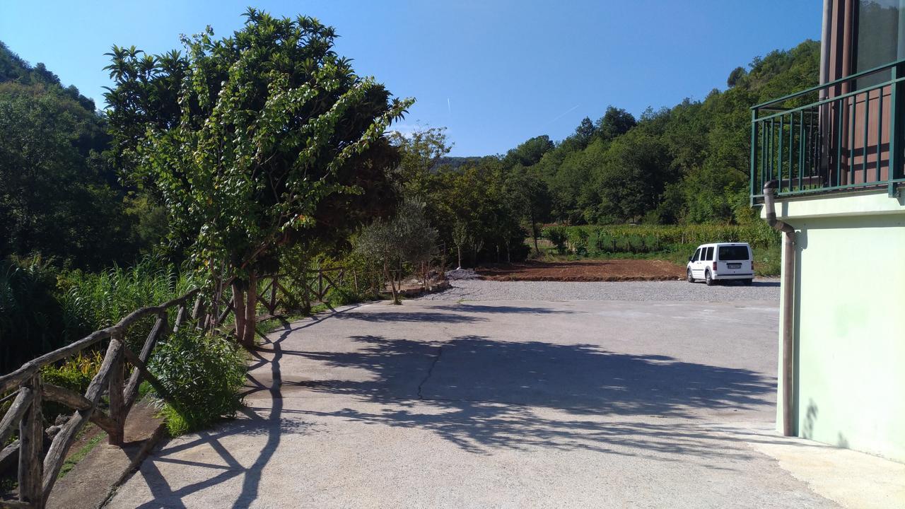 Palia's Laino Borgo